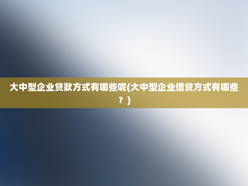 大中型企业贷款方式有哪些呢(大中型企业借贷方式有哪些？)