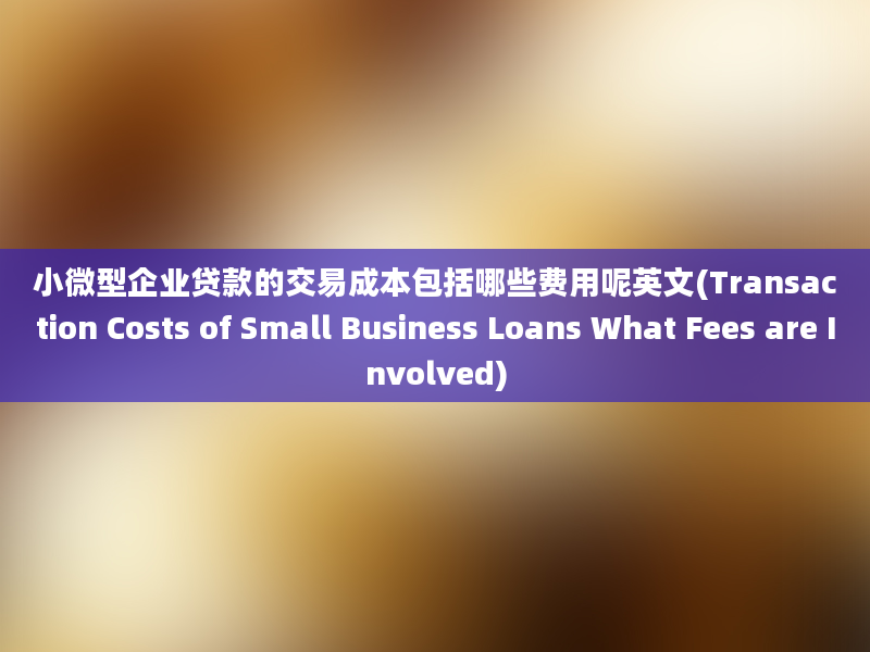 小微型企业贷款的交易成本包括哪些费用呢英文(Transaction Costs of Small Business Loans What Fees are Involved)