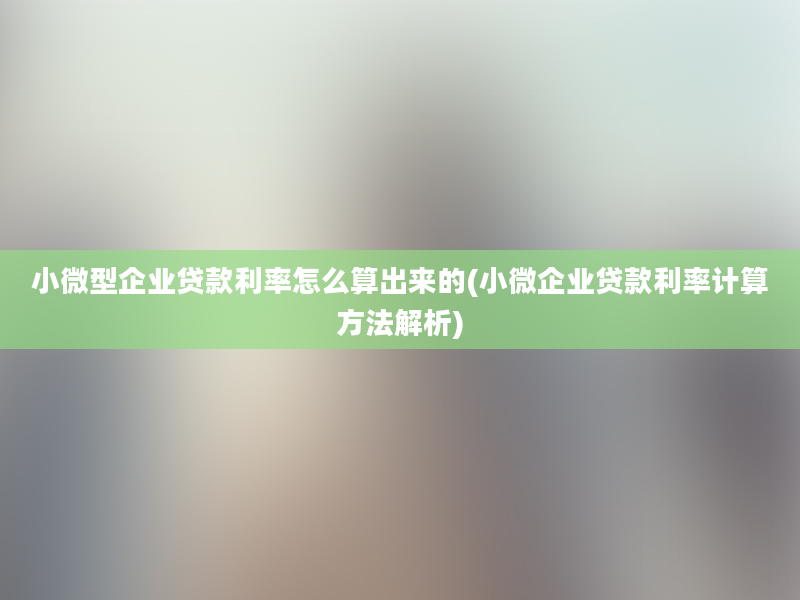 小微型企业贷款利率怎么算出来的(小微企业贷款利率计算方法解析)