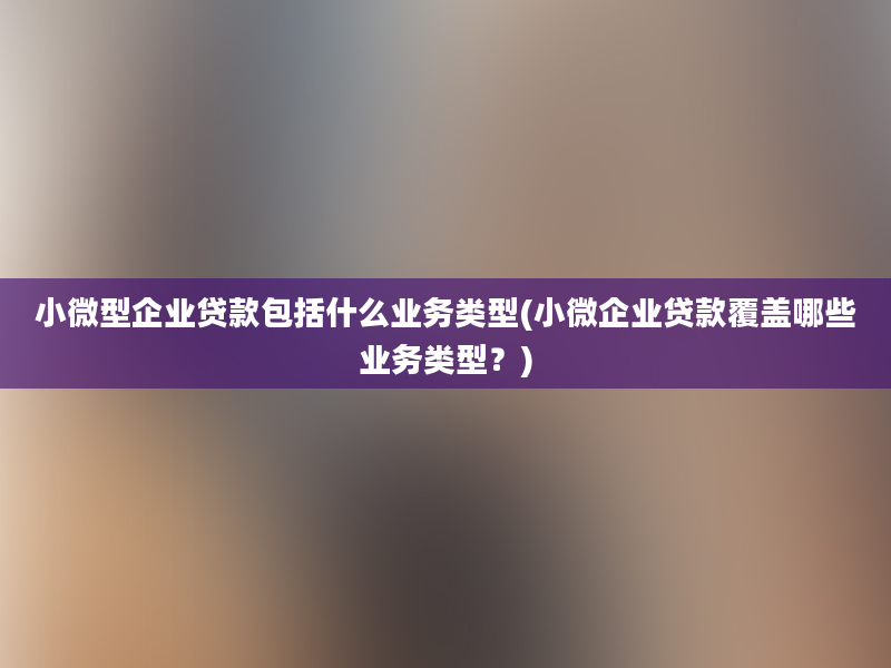 小微型企业贷款包括什么业务类型(小微企业贷款覆盖哪些业务类型？)