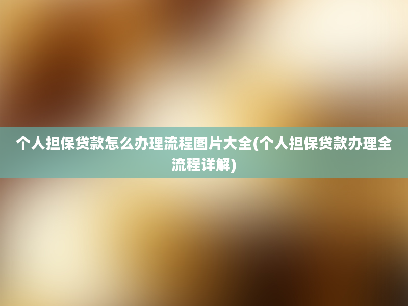 个人担保贷款怎么办理流程图片大全(个人担保贷款办理全流程详解)