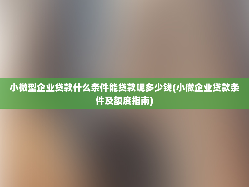 小微型企业贷款什么条件能贷款呢多少钱(小微企业贷款条件及额度指南)