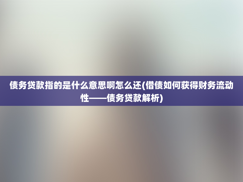 债务贷款指的是什么意思啊怎么还(借债如何获得财务流动性——债务贷款解析)