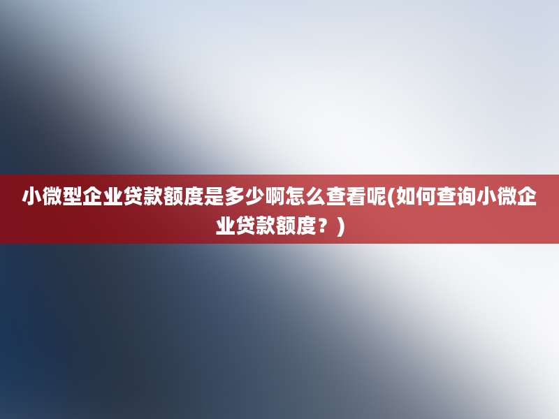 小微型企业贷款额度是多少啊怎么查看呢(如何查询小微企业贷款额度？)