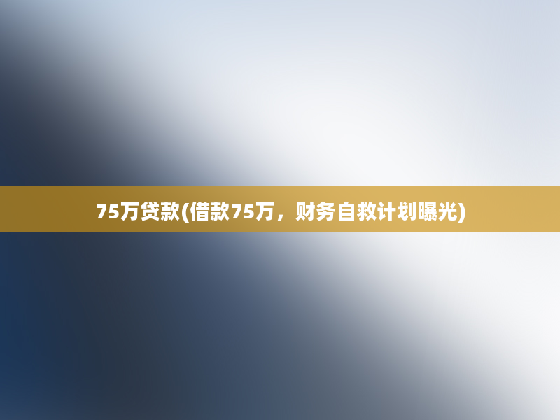 75万贷款(借款75万，财务自救计划曝光)