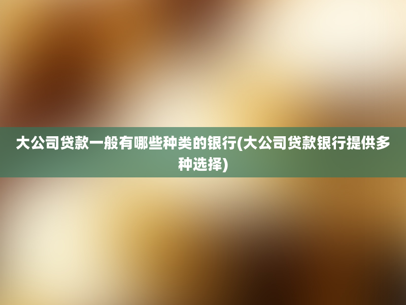 大公司贷款一般有哪些种类的银行(大公司贷款银行提供多种选择)