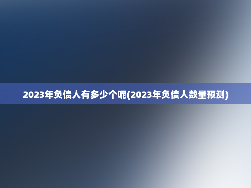 2023年负债人有多少个呢(2023年负债人数量预测)