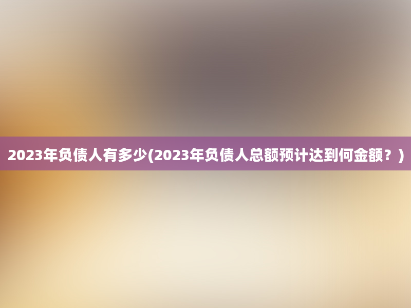 2023年负债人有多少(2023年负债人总额预计达到何金额？)