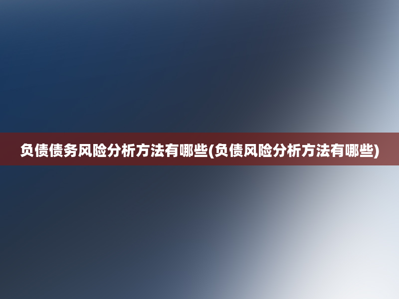 负债债务风险分析方法有哪些(负债风险分析方法有哪些)