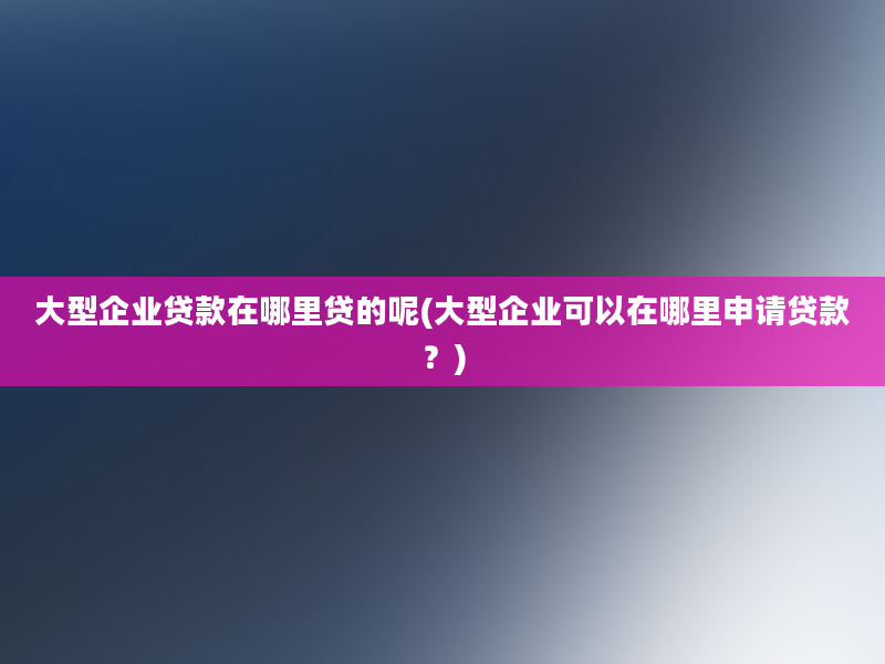 大型企业贷款在哪里贷的呢(大型企业可以在哪里申请贷款？)