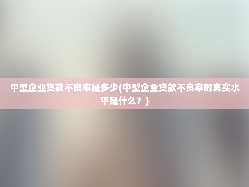 中型企业贷款不良率是多少(中型企业贷款不良率的真实水平是什么？)