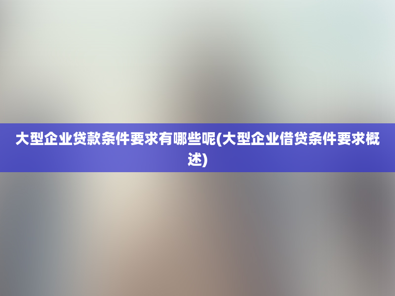 大型企业贷款条件要求有哪些呢(大型企业借贷条件要求概述)