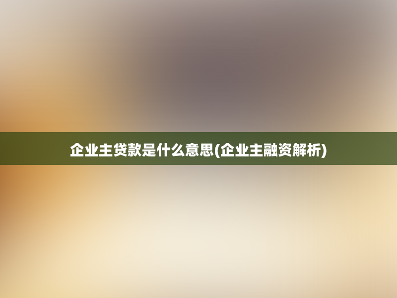 企业主贷款是什么意思(企业主融资解析)