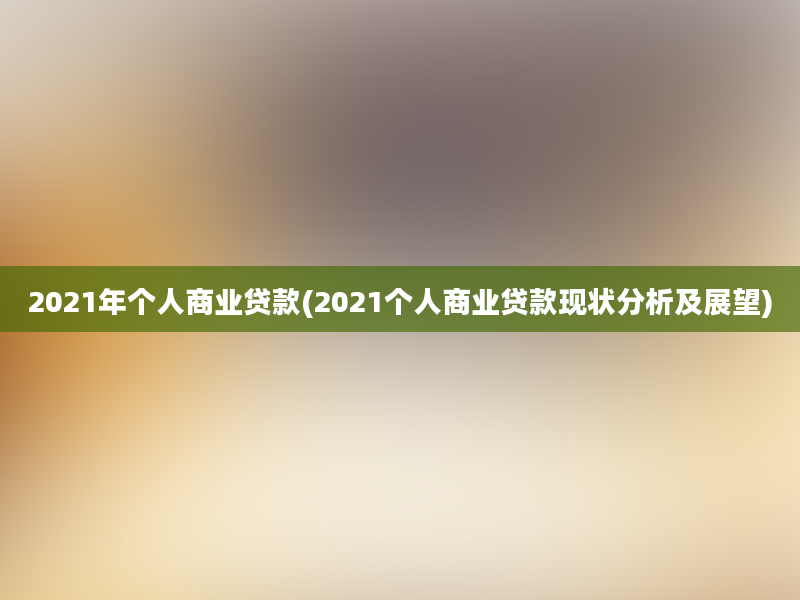 2021年个人商业贷款(2021个人商业贷款现状分析及展望)