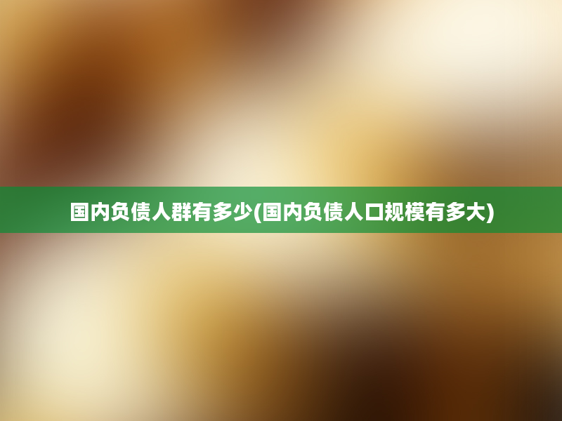 国内负债人群有多少(国内负债人口规模有多大)