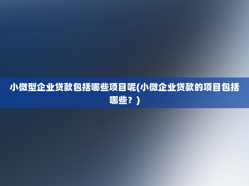 小微型企业贷款包括哪些项目呢(小微企业贷款的项目包括哪些？)