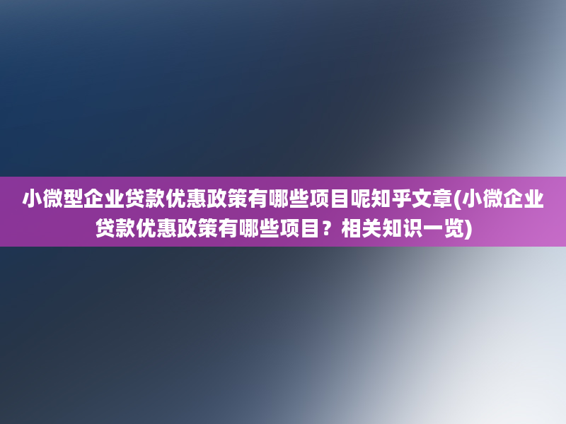 小微型企业贷款优惠政策有哪些项目呢知乎文章(小微企业贷款优惠政策有哪些项目？相关知识一览)