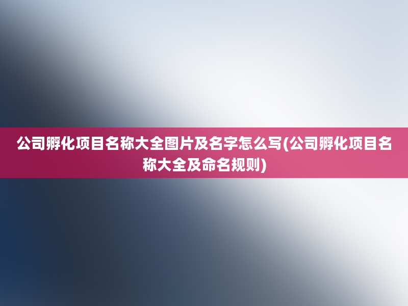 公司孵化项目名称大全图片及名字怎么写(公司孵化项目名称大全及命名规则)