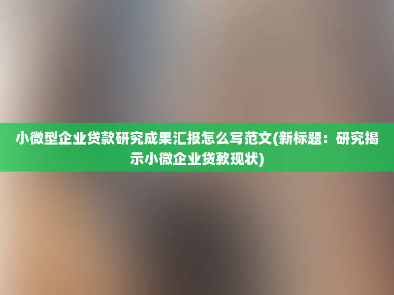 小微型企业贷款研究成果汇报怎么写范文(新标题：研究揭示小微企业贷款现状)