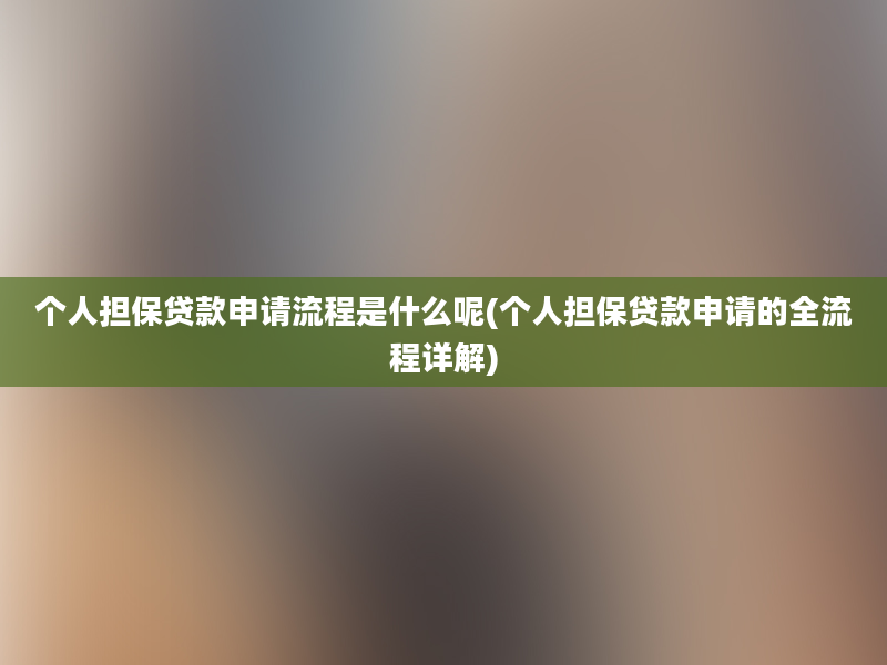 个人担保贷款申请流程是什么呢(个人担保贷款申请的全流程详解)