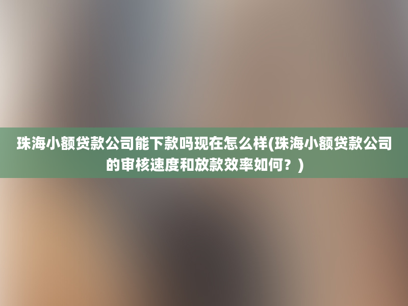 珠海小额贷款公司能下款吗现在怎么样(珠海小额贷款公司的审核速度和放款效率如何？)