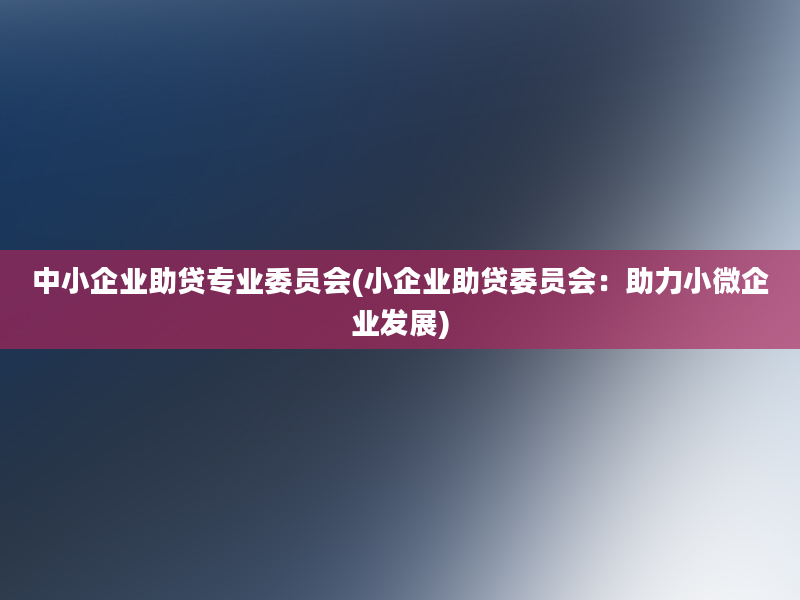 中小企业助贷专业委员会(小企业助贷委员会：助力小微企业发展)