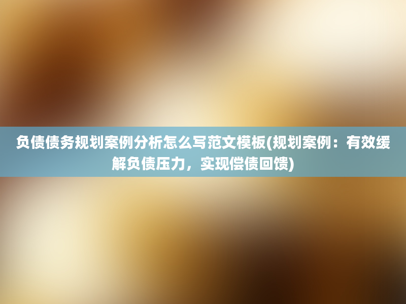 负债债务规划案例分析怎么写范文模板(规划案例：有效缓解负债压力，实现偿债回馈)