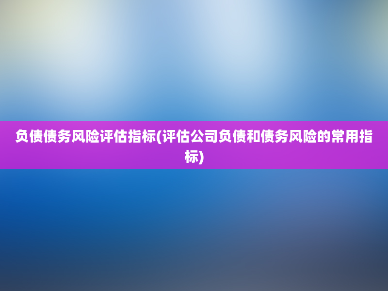 负债债务风险评估指标(评估公司负债和债务风险的常用指标)