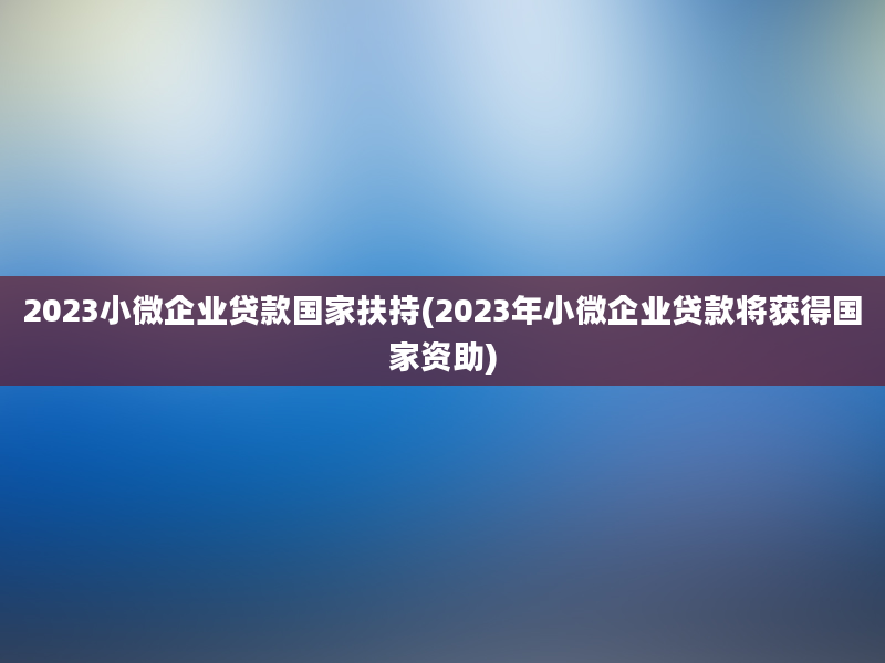 2023小微企业贷款国家扶持(2023年小微企业贷款将获得国家资助)