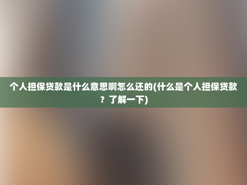 个人担保贷款是什么意思啊怎么还的(什么是个人担保贷款？了解一下)