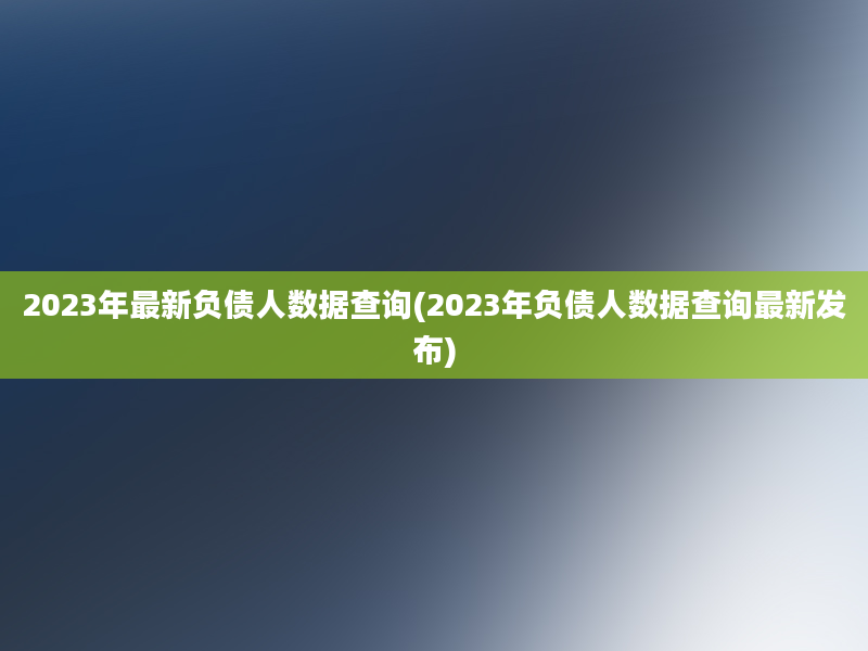 2023年最新负债人数据查询(2023年负债人数据查询最新发布)