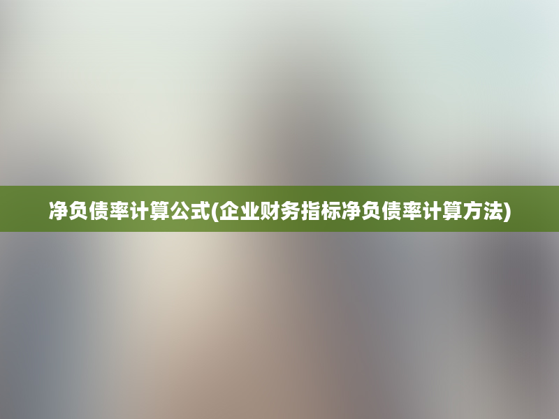 净负债率计算公式(企业财务指标净负债率计算方法)