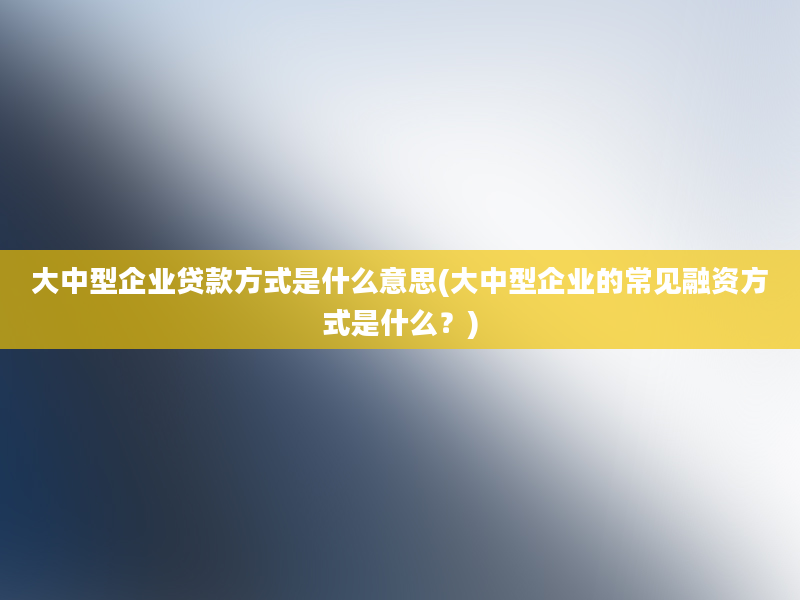 大中型企业贷款方式是什么意思(大中型企业的常见融资方式是什么？)