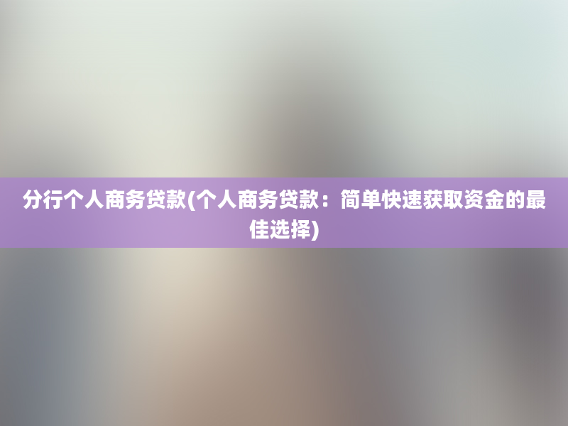 分行个人商务贷款(个人商务贷款：简单快速获取资金的最佳选择)