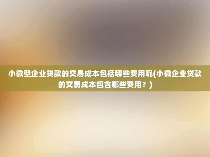 小微型企业贷款的交易成本包括哪些费用呢(小微企业贷款的交易成本包含哪些费用？)