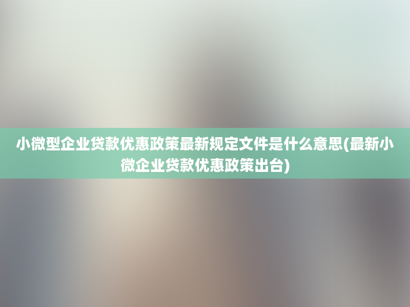 小微型企业贷款优惠政策最新规定文件是什么意思(最新小微企业贷款优惠政策出台)