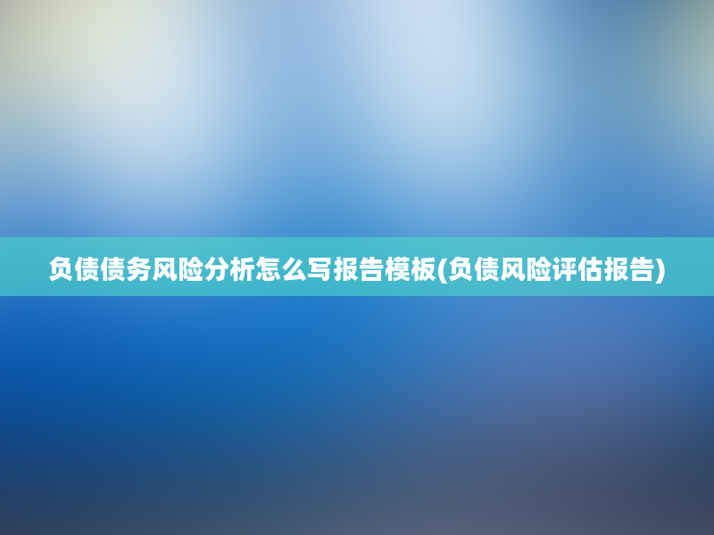 负债债务风险分析怎么写报告模板(负债风险评估报告)