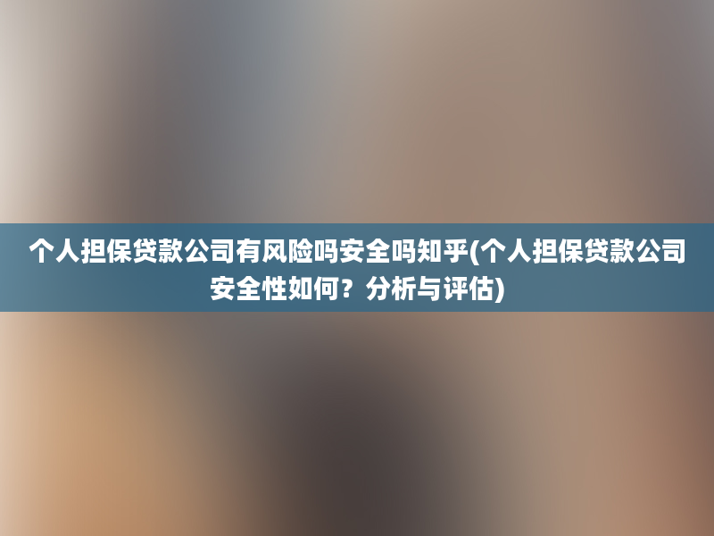 个人担保贷款公司有风险吗安全吗知乎(个人担保贷款公司安全性如何？分析与评估)