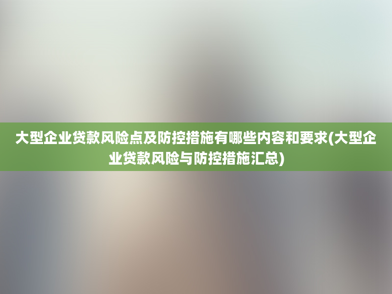 大型企业贷款风险点及防控措施有哪些内容和要求(大型企业贷款风险与防控措施汇总)