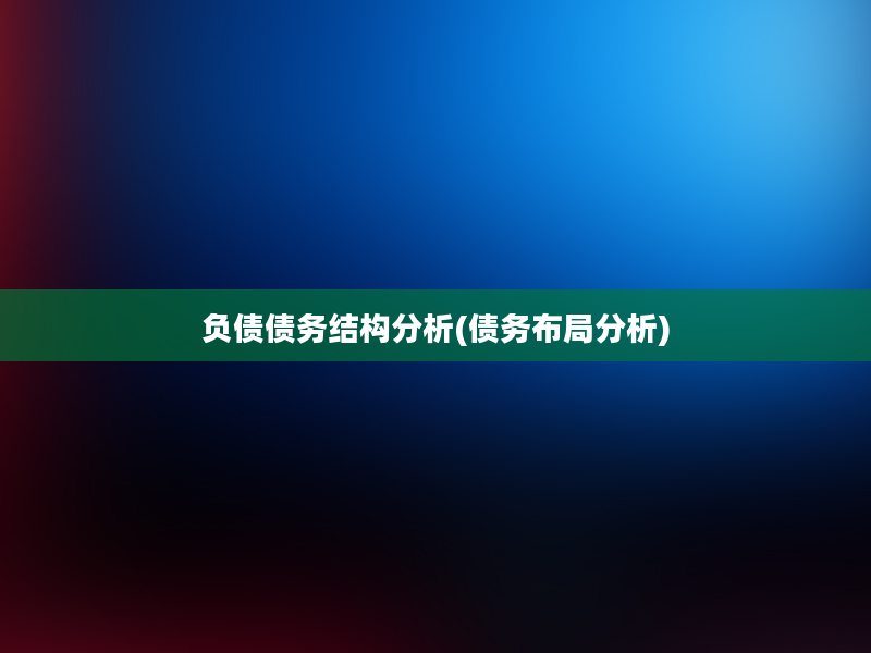 负债债务结构分析(债务布局分析)