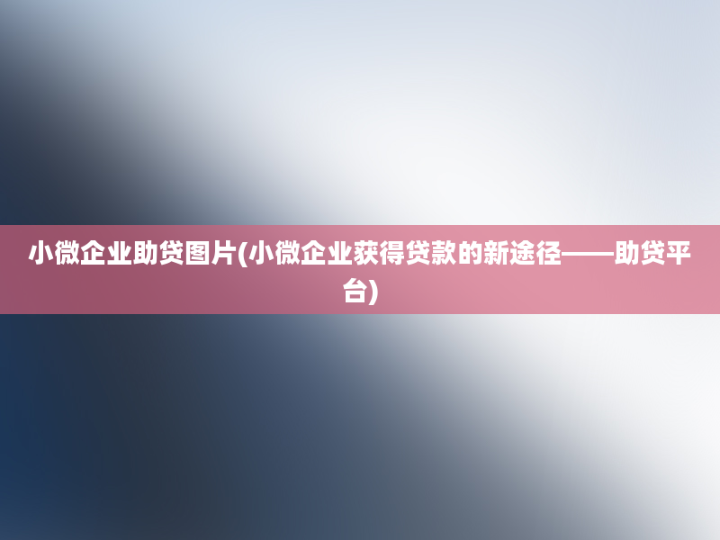 小微企业助贷图片(小微企业获得贷款的新途径——助贷平台)