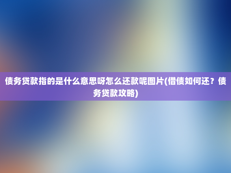 债务贷款指的是什么意思呀怎么还款呢图片(借债如何还？债务贷款攻略)