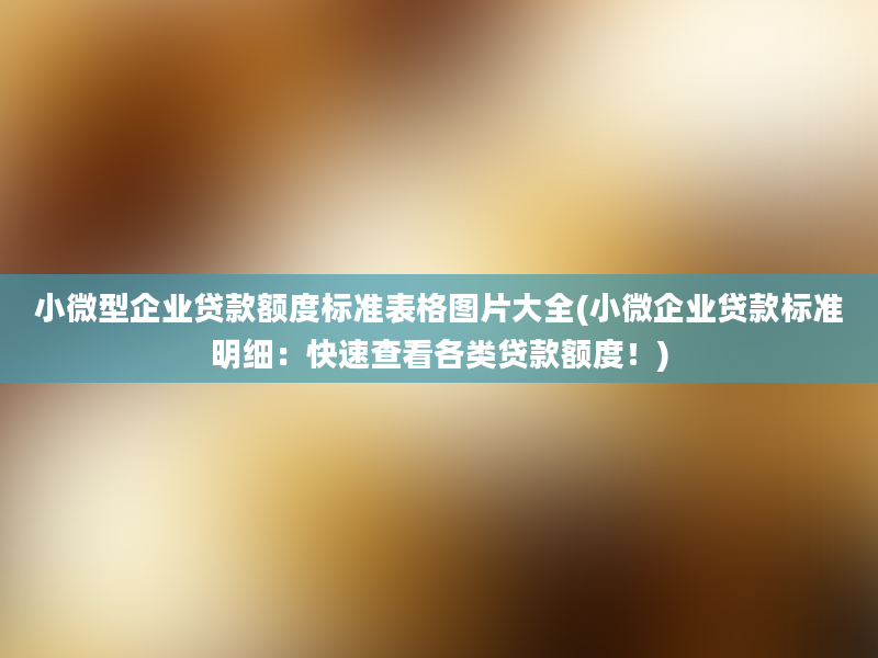 小微型企业贷款额度标准表格图片大全(小微企业贷款标准明细：快速查看各类贷款额度！)