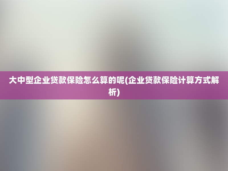 大中型企业贷款保险怎么算的呢(企业贷款保险计算方式解析)