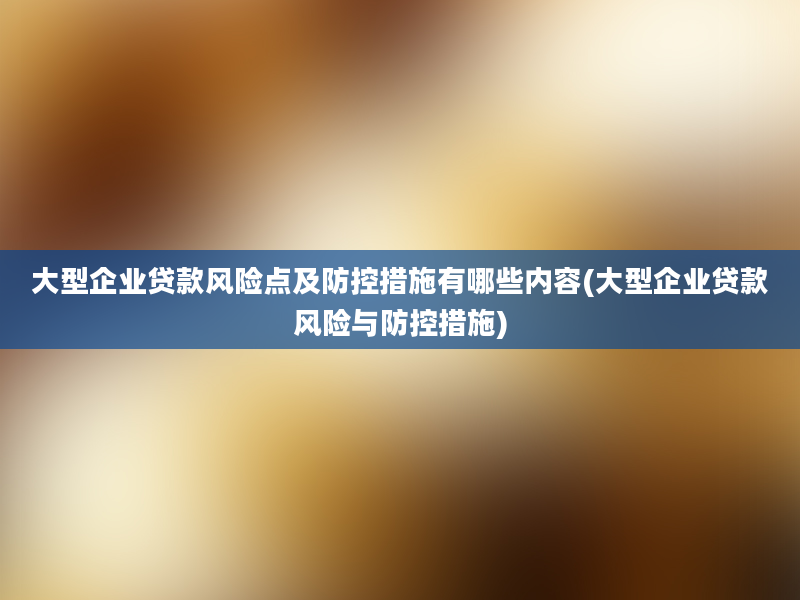 大型企业贷款风险点及防控措施有哪些内容(大型企业贷款风险与防控措施)