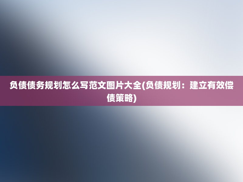 负债债务规划怎么写范文图片大全(负债规划：建立有效偿债策略)