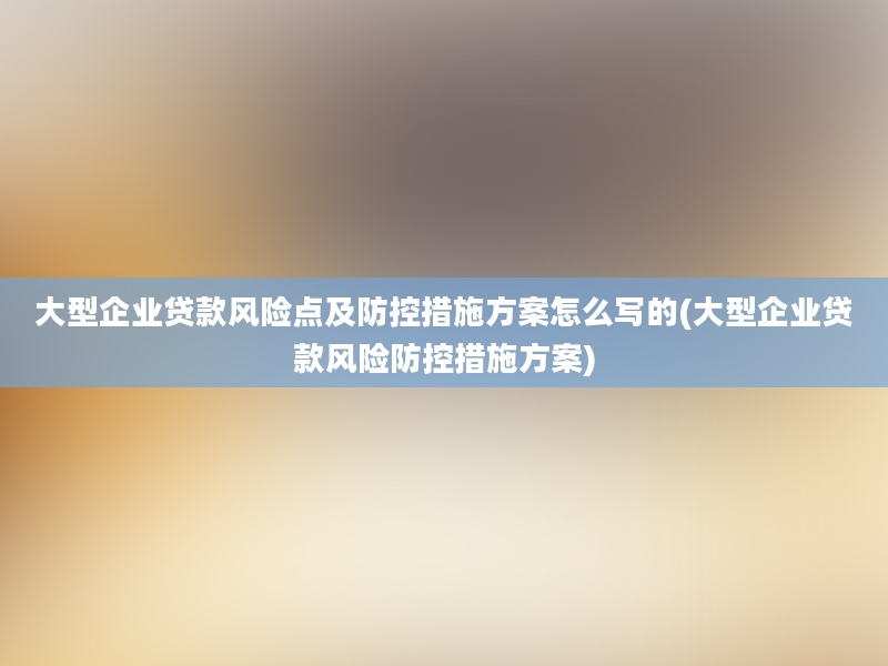 大型企业贷款风险点及防控措施方案怎么写的(大型企业贷款风险防控措施方案)