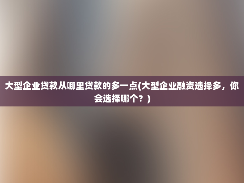 大型企业贷款从哪里贷款的多一点(大型企业融资选择多，你会选择哪个？)