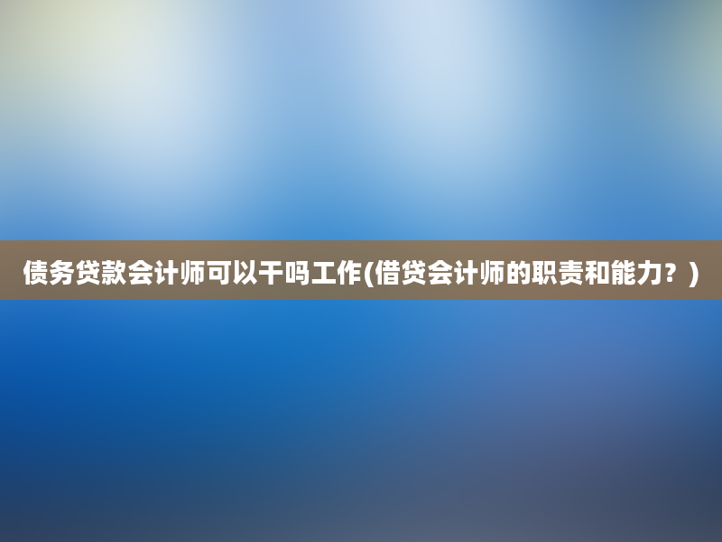 债务贷款会计师可以干吗工作(借贷会计师的职责和能力？)