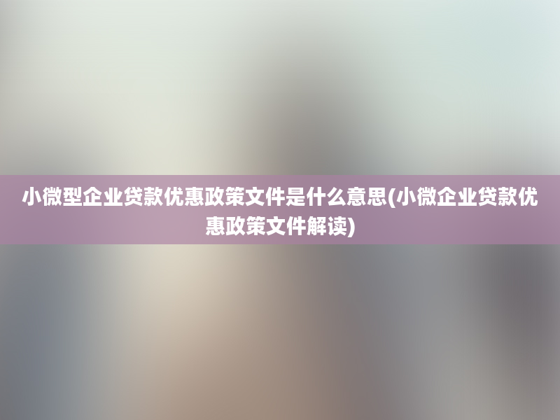 小微型企业贷款优惠政策文件是什么意思(小微企业贷款优惠政策文件解读)